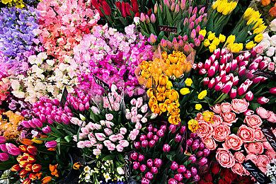 在COD当铁驭 爆料称《黑色行动7》跑墙机制将回归