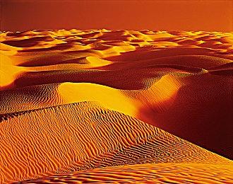 《自杀小队：战胜正义联盟》和《哥谭骑士》不一样 内部反应积极